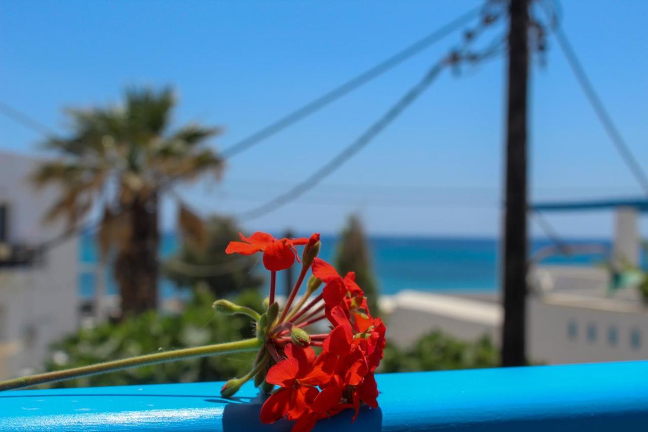 Sea View Apartments & Studios Agia Anna  Exterior photo