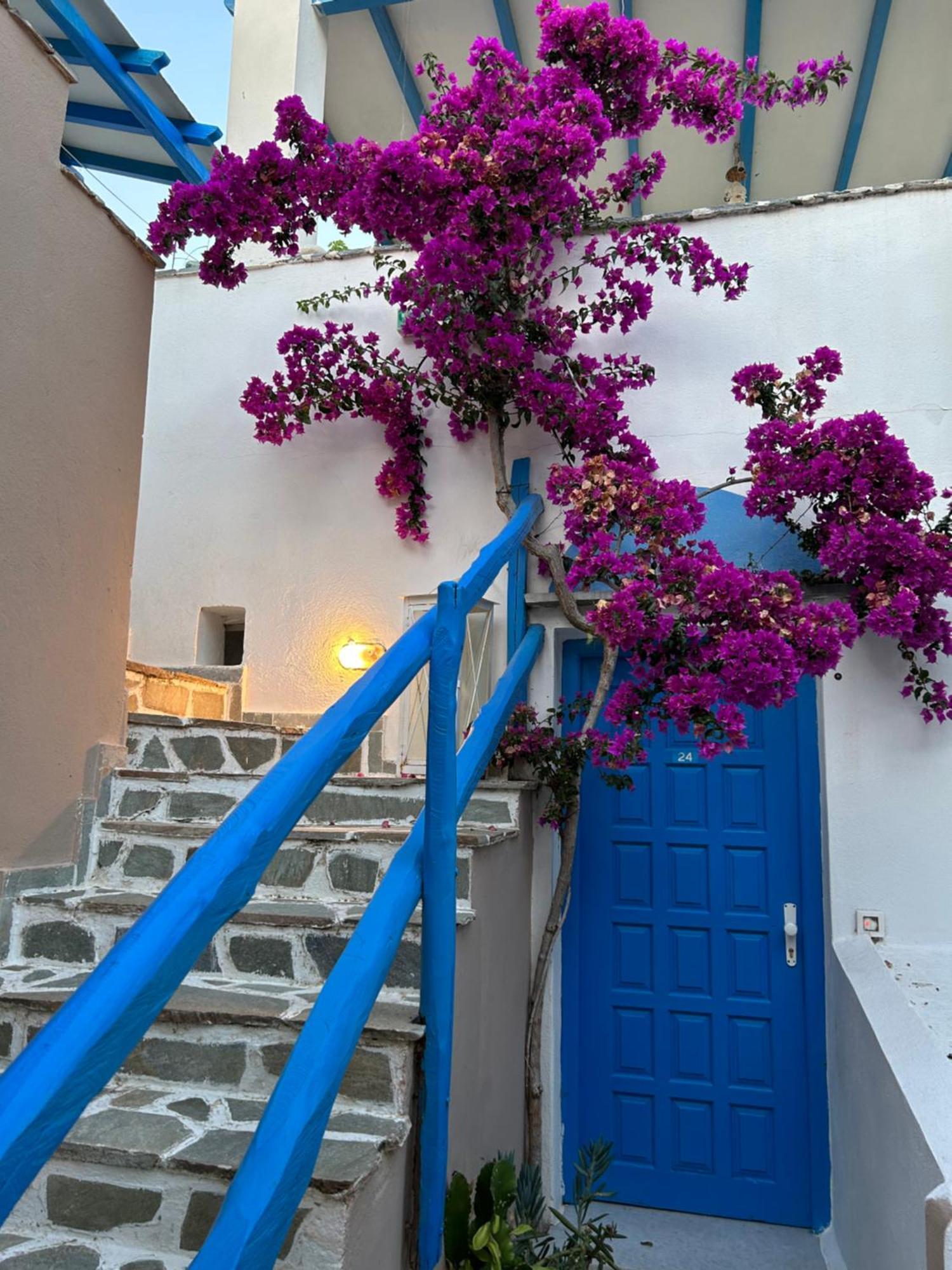 Sea View Apartments & Studios Agia Anna  Exterior photo