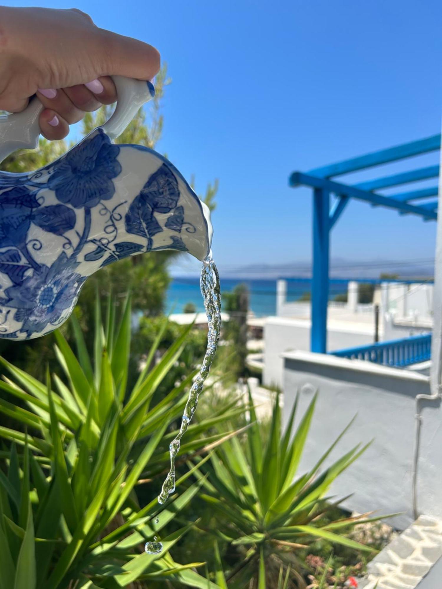 Sea View Apartments & Studios Agia Anna  Room photo