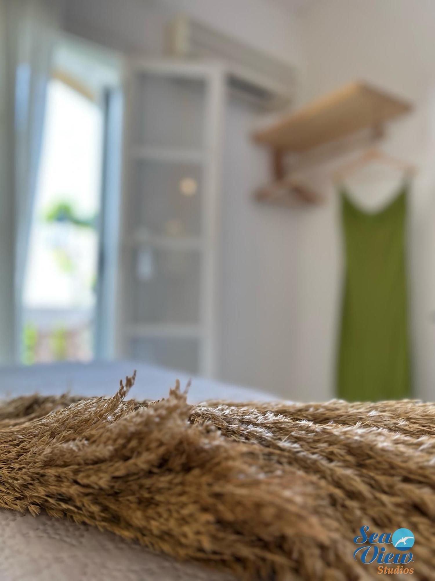 Sea View Apartments & Studios Agia Anna  Room photo